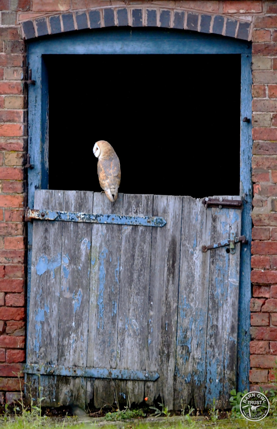 Barow day perched tab door craig jones 261118 c 1 scaled 2 small