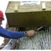 Barn Owl Tree Box Fixing On Tree