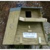 Barn Owl Tree Box In Place