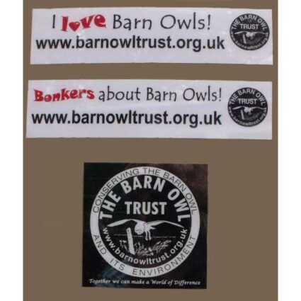 Barn Owl Trust Car Stickers