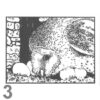 Barn Owl Trust Expectant A6 Black & White Card