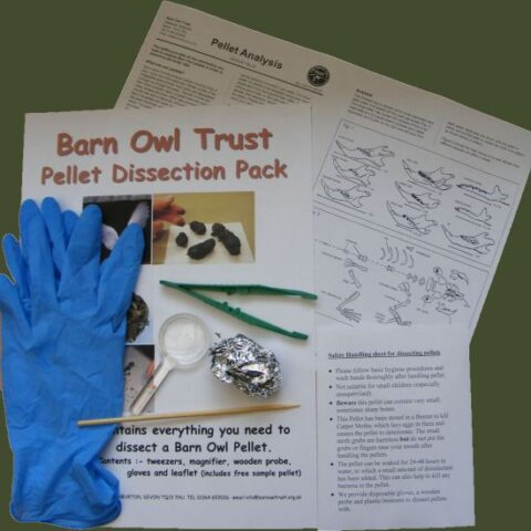 Barn Owl Trust Pellet Dissection Pack Contents