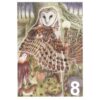 Barn Owl Trust The Seer A6 Card