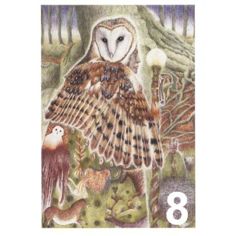 Barn Owl Trust The Seer A6 Card