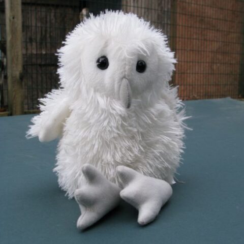 Barn Owl Trust Toy Owlet