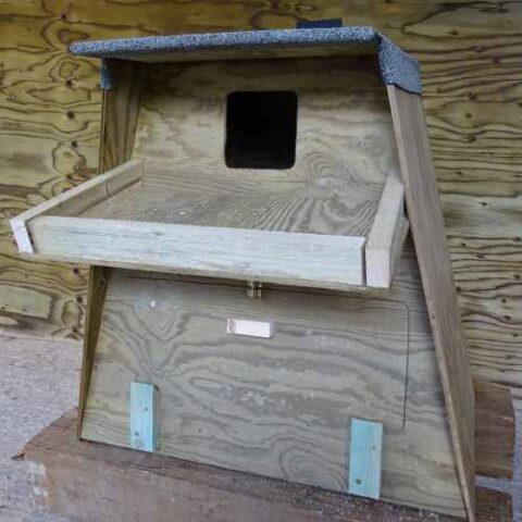 Barn Owl Trust Tree Nest Box Front