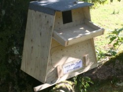 Barn Owl Tree Nestbox 