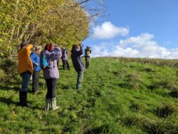 Bird walk november22 6