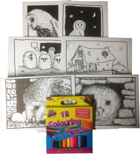 Colouring card pack