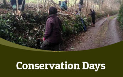 LLP Conservation Days