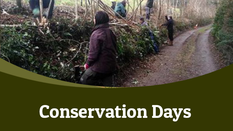 LLP Conservation Days