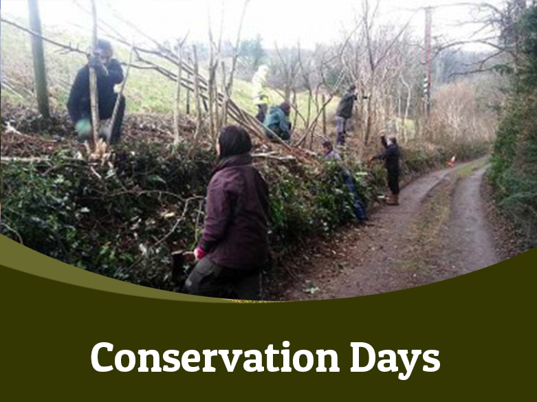 Conservation Days