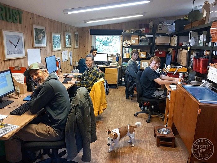 Conservation team dog