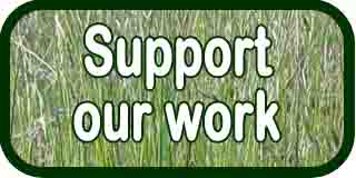 Donate Support Our Work Button 2