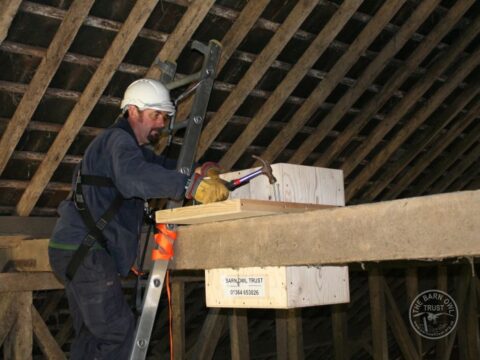 Indoor Barn Owl Nestbox Erection 07