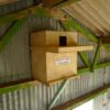 Indoor Barn Owl Nestbox Erection 17