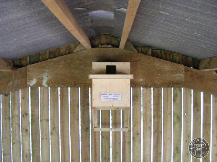 Indoor nestbox barn [Matt Twiggs]