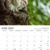 June month