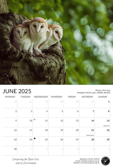 June month