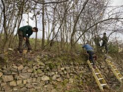 Llp staff + vols hedgelaying [harry hingston] 151223 (a)