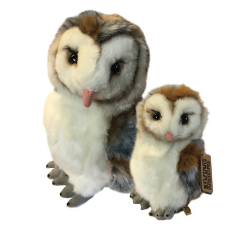 Large And Small Owl