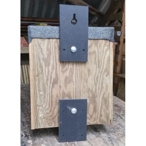 Little Owl Nestbox Back