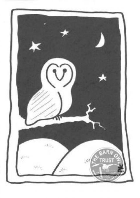 Night Owl Black White Card