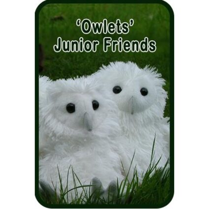 Owlets Junior Friends