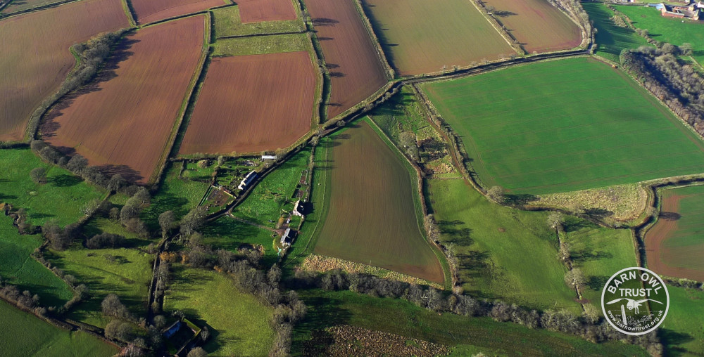 S of shobrooke aerial margins habitat david ramsden 111014 b cropped for managing land page small