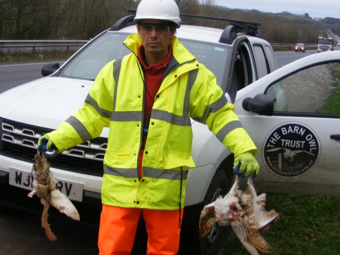 Staff 3 dead owls road matt twiggs