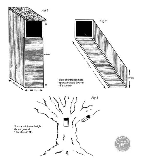 Tawny owl nestbox design