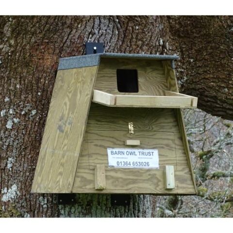 Tree Nestbox On Plastic Hangers