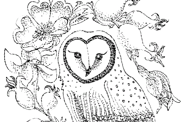 Barn owl and roses coloring page 600x400