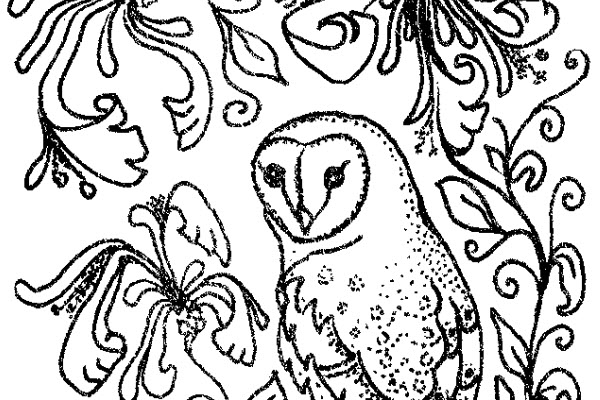 Barn owl honeysuckle colouring page 600x400