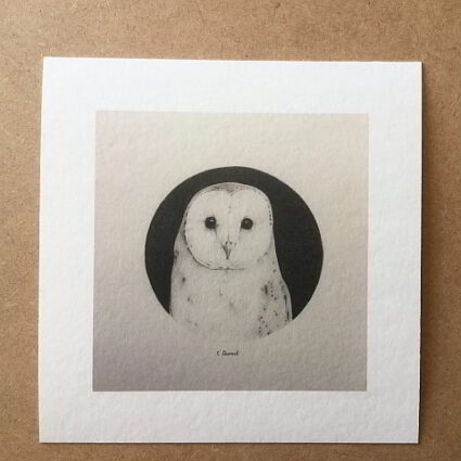 Barn Owl Print