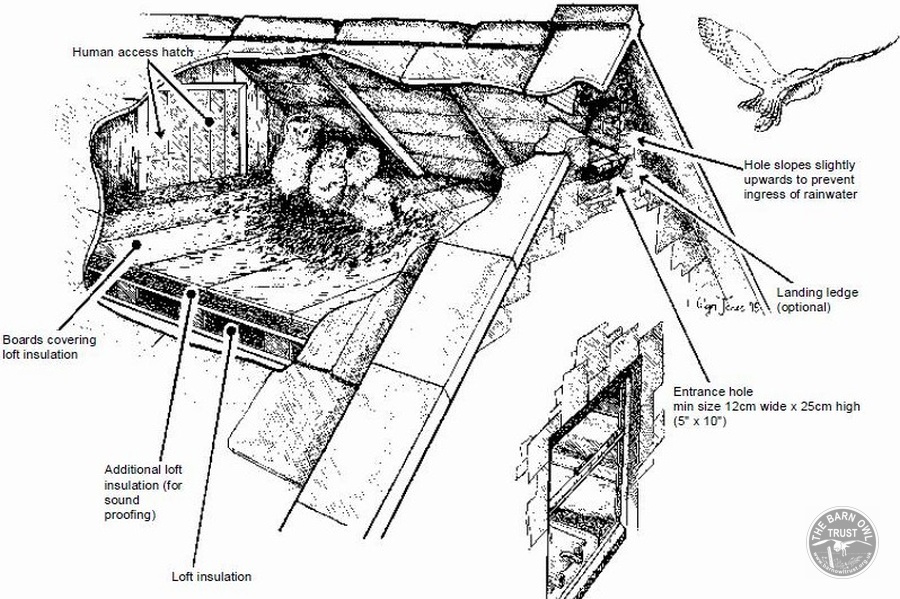 Building projects barn conversion annotated drawing full size