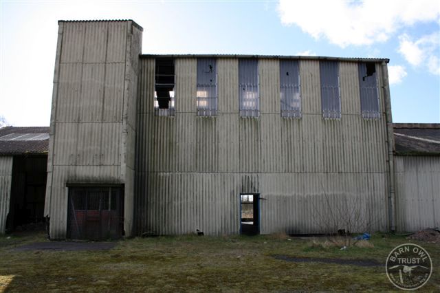 Derelict building where Barn Owls nest [John Lightfoot]