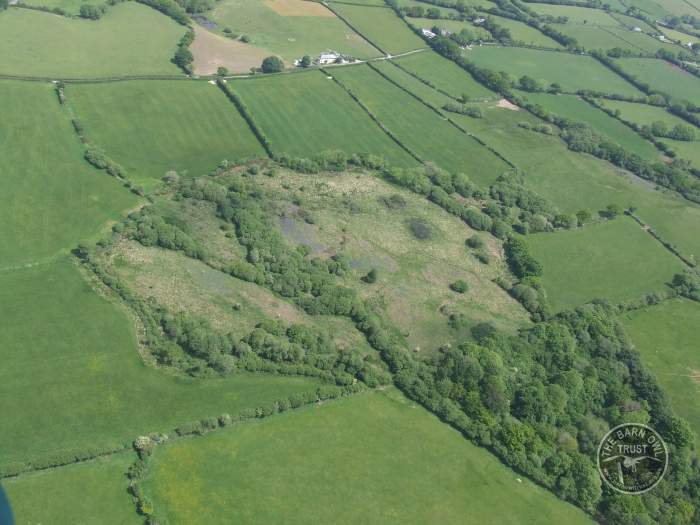 Good Barn Owl Habitat 18