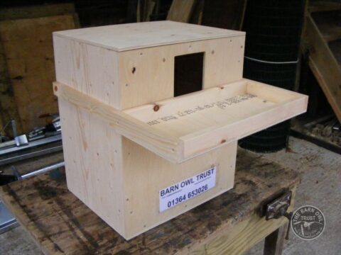 Indoor Barn Owl Nestboxes Deep Box Complete