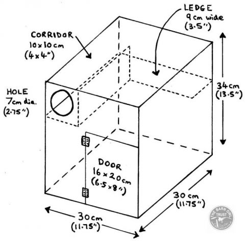 Little Owl Nestbox Diagram