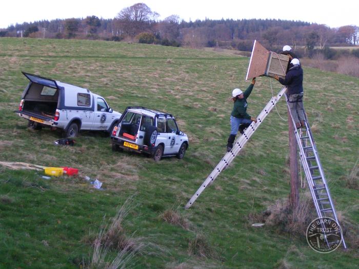 Pole boxes erection on pole