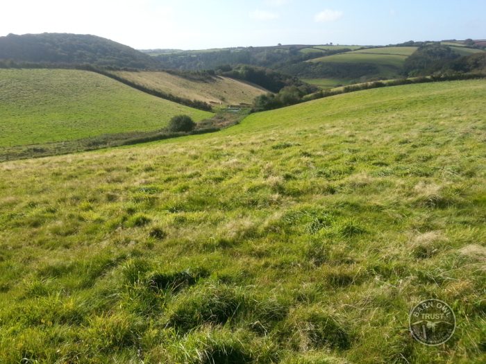 Rough grassland foraging habitat david ramsden