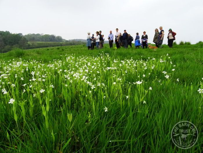 Wild Flower Walk